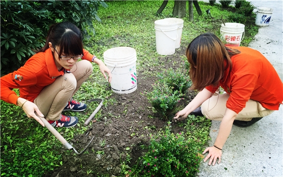 |ベアのある森